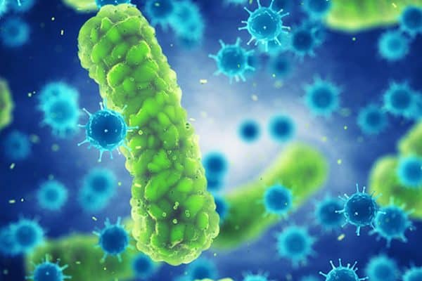 Pathogenic bacteria and viruses , Microscopic germs that cause infectious diseases