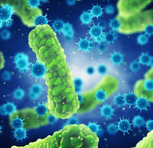 Pathogenic bacteria and viruses , Microscopic germs that cause infectious diseases
